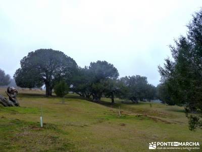 Enebral, Ermita Hornuez–Villa Maderuelo; senderismo joven madrid; viajes verano